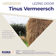 Uitgelicht: Kunstenaar Tinus Vermeersch